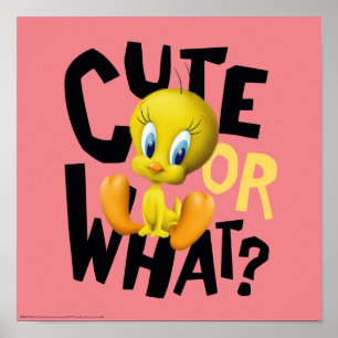 Póster TWEETY™- Cuto O Qué?