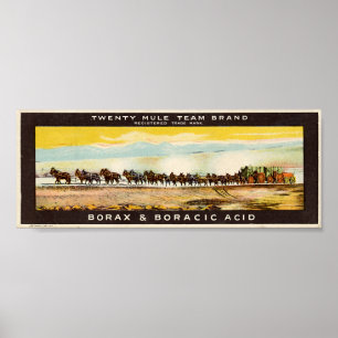 Póster Twenty Mule Team Borax