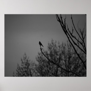 Póster Twilight Bird