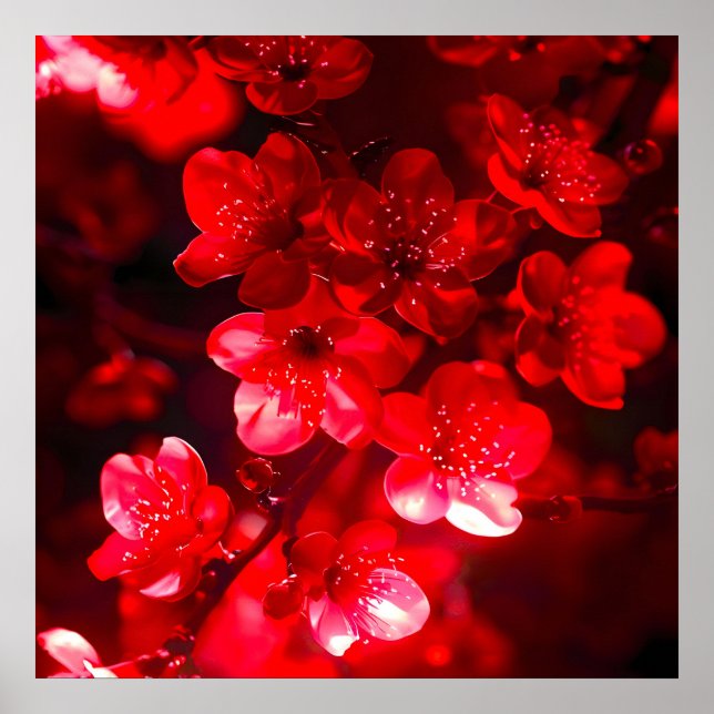 Póster Twilight Cherry Blossom Glow (Frente)
