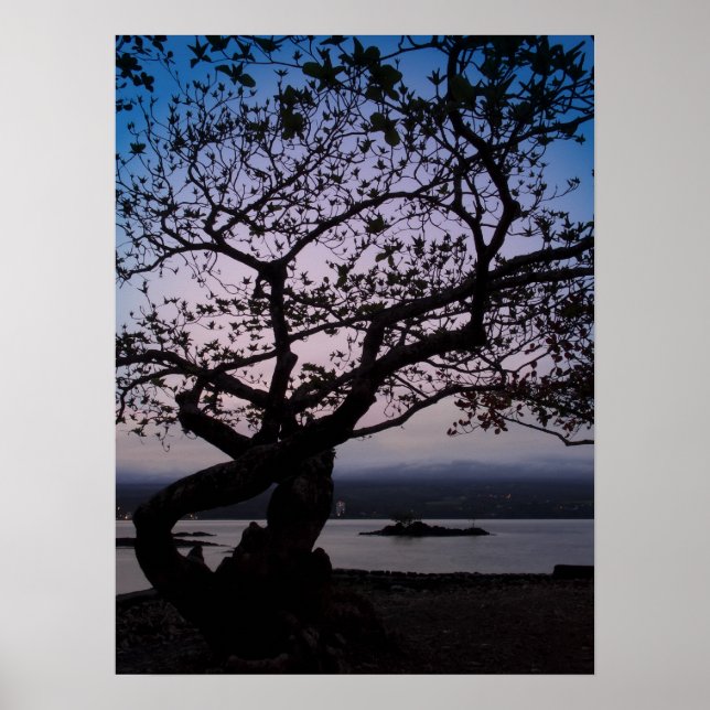 Póster TWILIGHT en HILO BAY HAWAII (Frente)