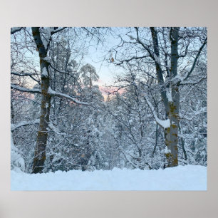 Póster Twin Peaks Snow on Trees