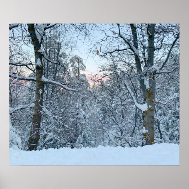 Póster Twin Peaks Snow on Trees (Frente)