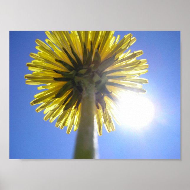 Póster Twin Suns (Frente)