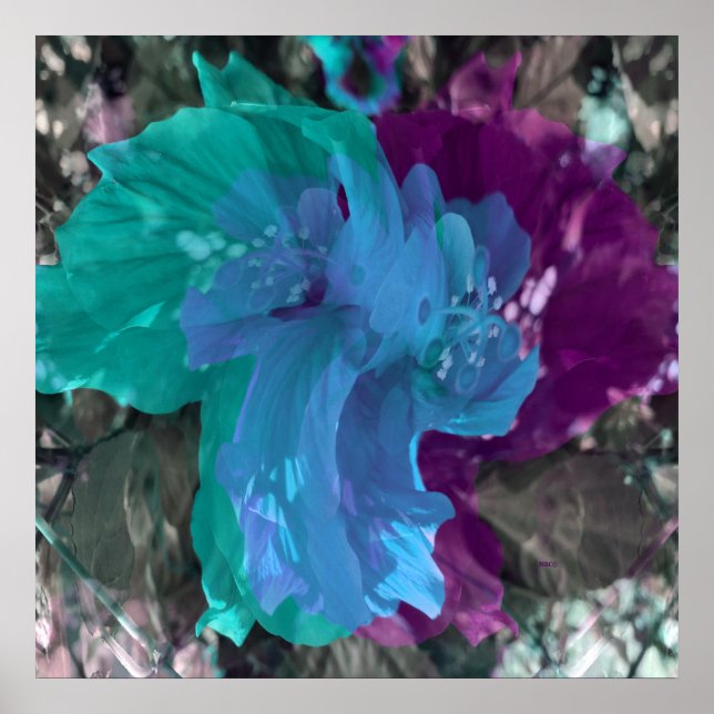 Póster Twirling in Love. (Frente)