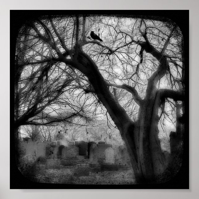 Póster Twisted (Frente)