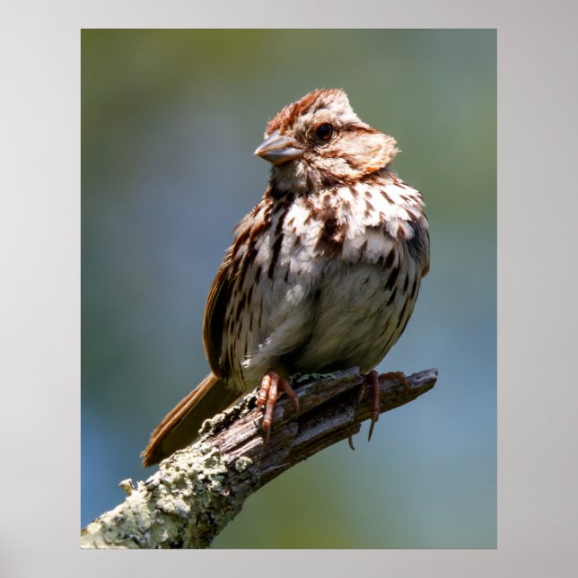 Póster Twisted (Frente)