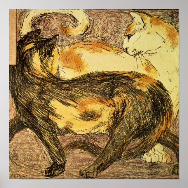 Póster Two Cats (Frente)