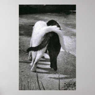 PÓSTER TWO CATS - FRIENDS - BEST POSTER & CANVAS PRINTS