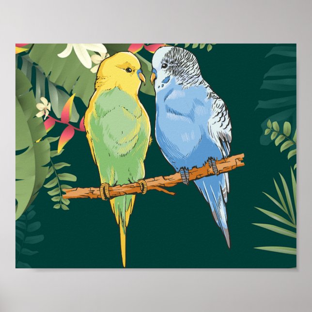 Póster Two cute blue and green Budgies (Frente)