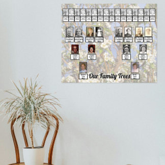 Póster Two Family Trees on White Blossoms Photo    