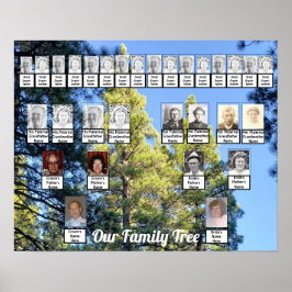 Póster Two Family Trees Pine Trees Photo | Name Poster