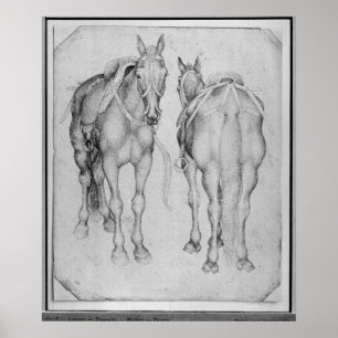 Póster Two horses, from the The Vallardi Album