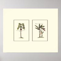 Two Miniature Framed Palm Trees