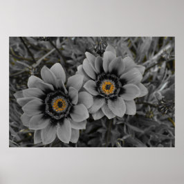 Póster Two of a Kind