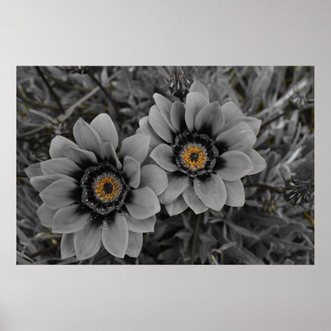 Póster Two of a Kind (Frente)