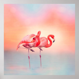 Póster Two Pink flamingos in the water at sunsetflamingo,