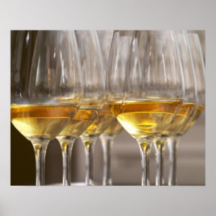 Póster two rows of wine tasting glasses with lucious