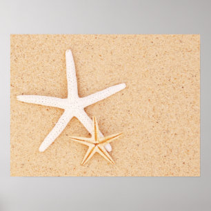 Póster Two Simple Starfish