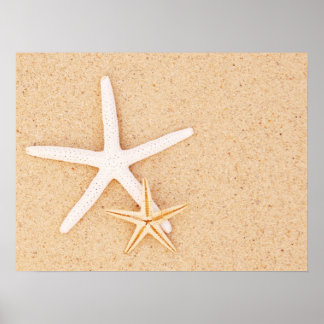 Póster Two Simple Starfish