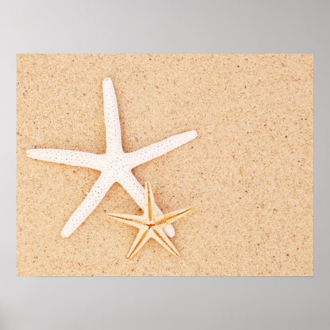 Póster Two Simple Starfish (Frente)