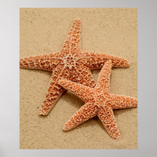 Póster Two Sugar Starfish
