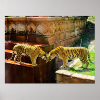 Two Tigers