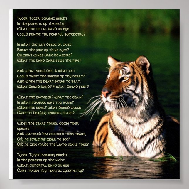 Póster Tyger, Tyger Print (Frente)