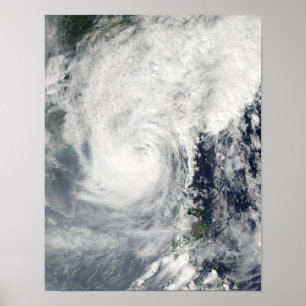Póster Typhoon Megi 3
