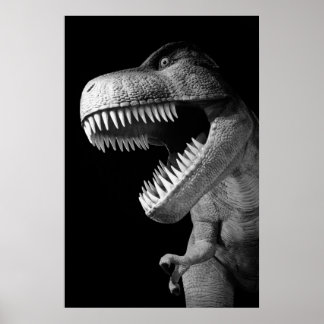 Póster Tyrannosaurus Rex