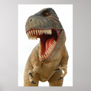 Póster Tyrannosaurus Rex