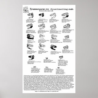 Póster Tyrannosaurus rex
