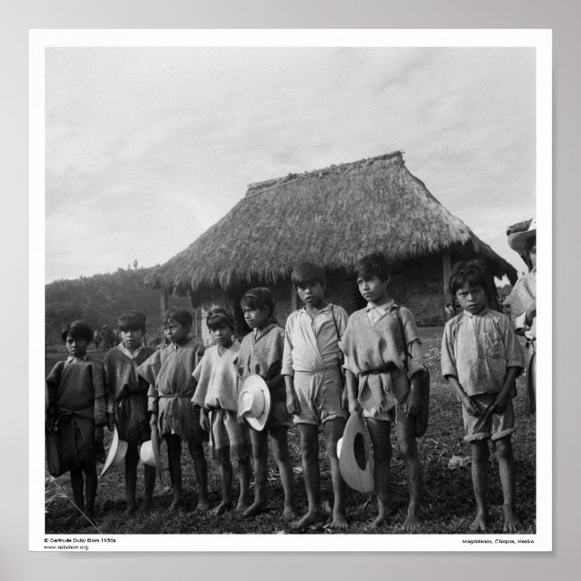 Póster Tzotzil Maya ~ Magdalenas, Chiapas, México (Frente)