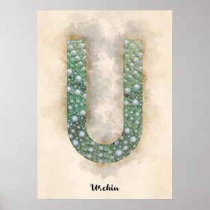 Póster U es para Urchin