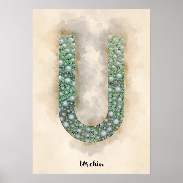 Póster U es para Urchin (Frente)