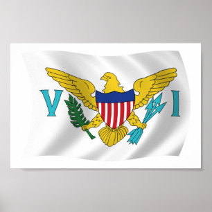 Póster U.S. Virgin Islands Flag Poster Print