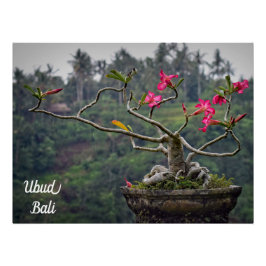 Póster Ubud Travel, Bali Travel