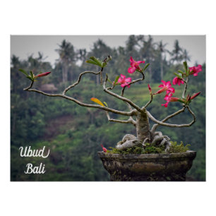 Póster Ubud Travel, Bali Travel
