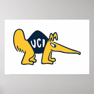 Póster UC Irvine   UCI Anteatros