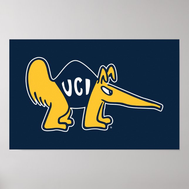 Póster UC Irvine | UCI Anteatros (Frente)