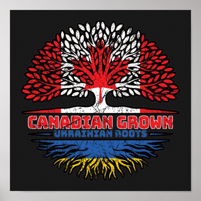 Póster Ucrania Bandera de raíces de árbol canadiense cana (Frente)