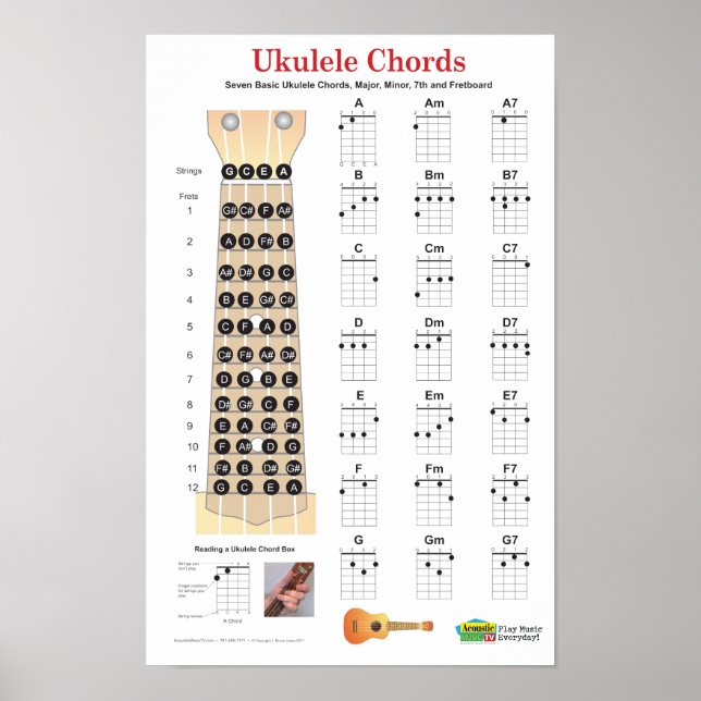 Póster Ukulele Chords Finger Chart y Fretboard Poster (Frente)
