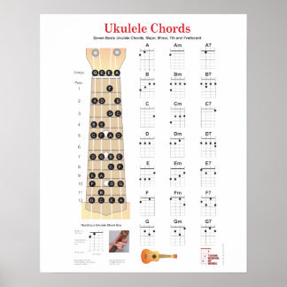 Póster Ukulele Cords Finger Charts, Fretboard con notas