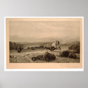 Póster Último Bierstadt de búfalo (0137A) - Restaurado