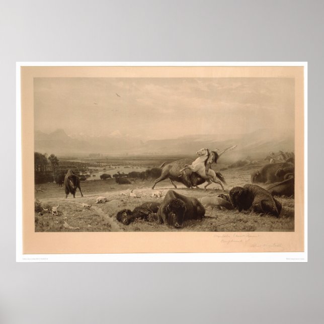 Póster Último Bierstadt de búfalo (0137A) - Restaurado (Frente)