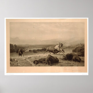 Póster Último Bierstadt de búfalo (0137A) - Sin restaurar