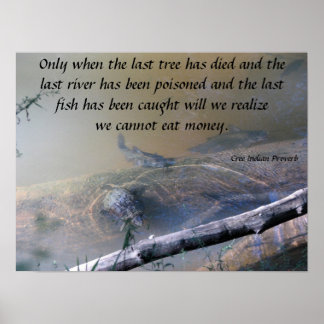 Póster Último Poster de río y pescado