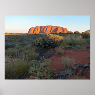 Póster Uluru Sunrise and Desert Flora
