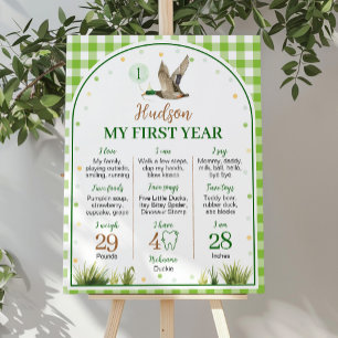 Póster Un afortunado pato de primer año