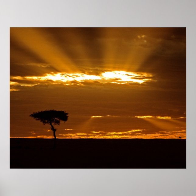 Póster Un amanecer con la boca abierta en el Maasai Mara (Frente)
